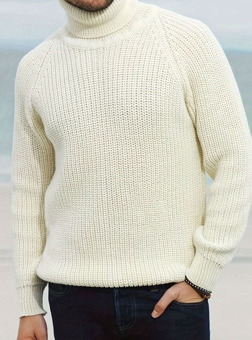 Men's Ribbed Knit Turtleneck Sweater Regular Fit Pullover