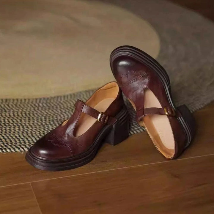 Women's Leather T-Strap Shoes Block Heel Round Toe Pumps - Brown