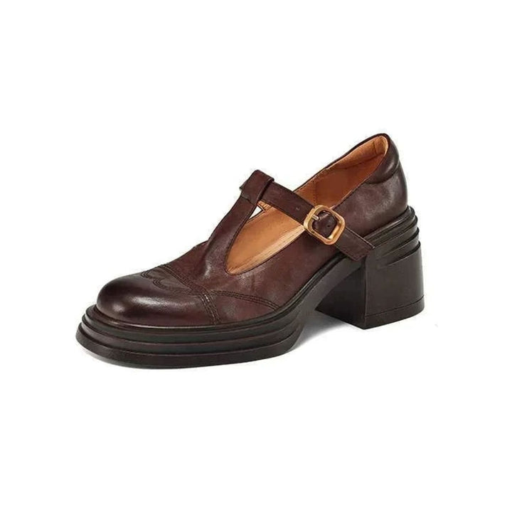 Women's Leather T-Strap Shoes Block Heel Round Toe Pumps