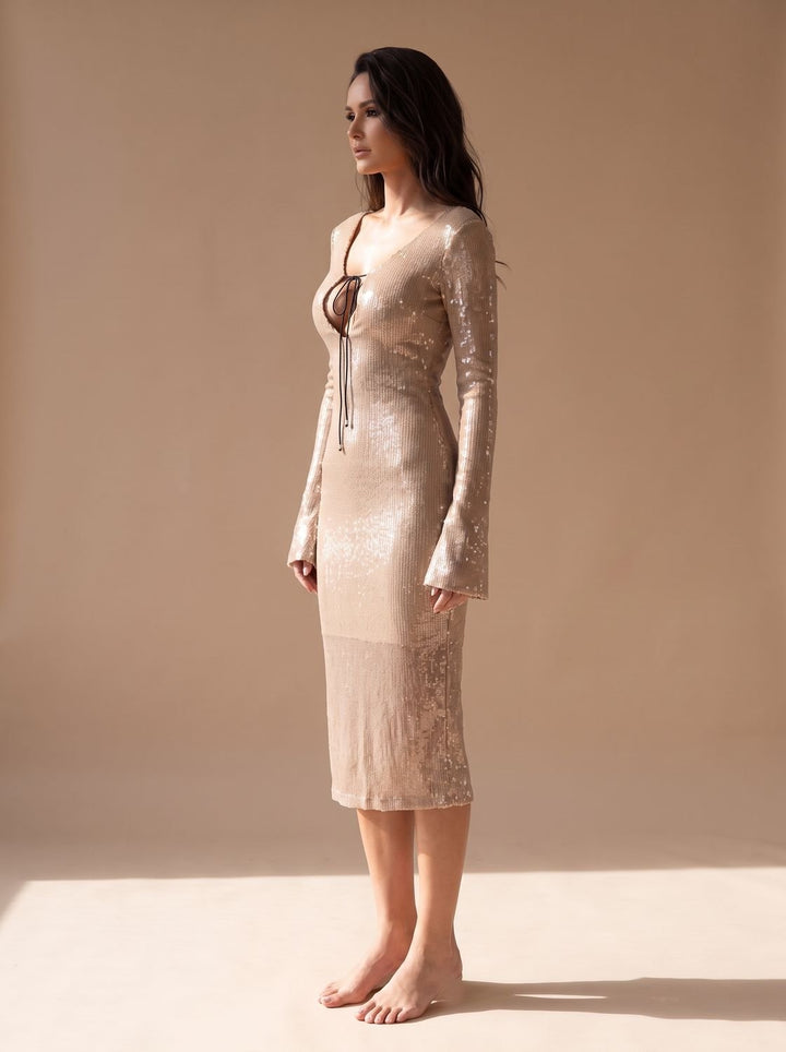 Women's Long-Sleeve V-Neck Sequin Maxi Dress
